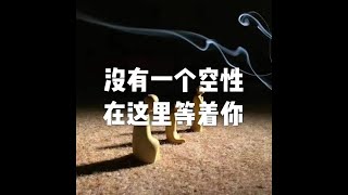 201903 没有一个空性在这里等着你51066