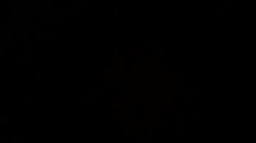 Econ 101- video assignment 2