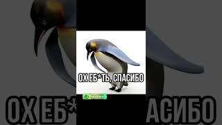 Бравл Старс скоро закроют?