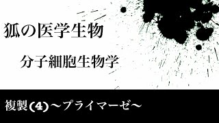 分子細胞生物学17 複製(4)〜プライマーゼ〜