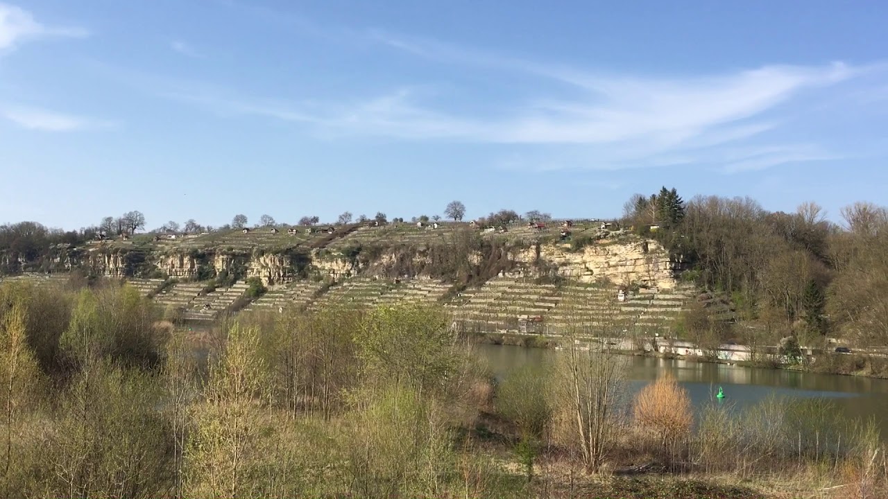 Neckarbiotop Zugwiesen bei Ludwigsburg