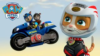 wild cat and moto pups save chase and the ruff ruff pack paw patrol episode cartoons for kids