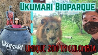 Ukumarí Bioparque Unique Zoo In Colombia Exotic Local Animals And Worlds Classics In One Place