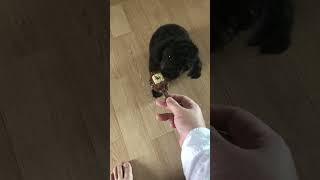 IMG 3654