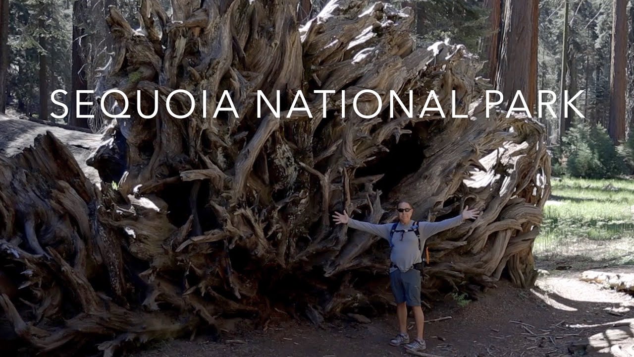 Sequoia National Park 2021 | RV Lifestyle | Pre-Fires
