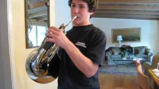 Franz Struasss Concerto, Op. 8