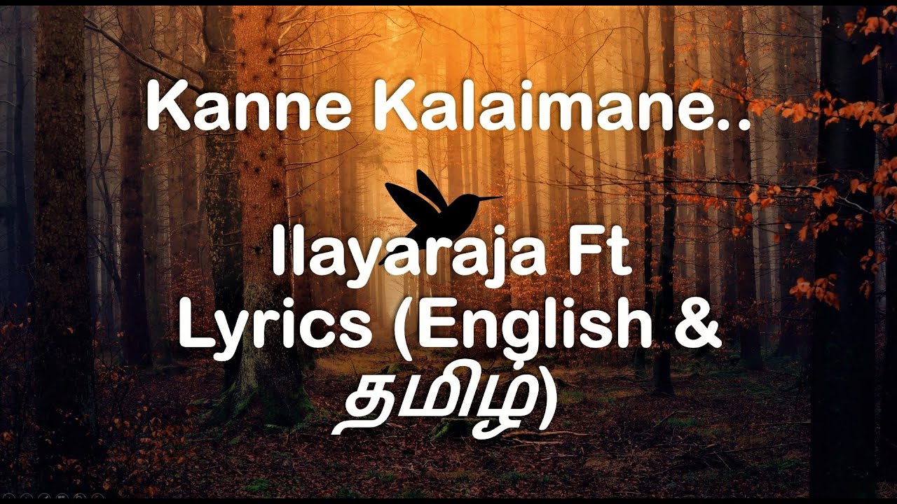 Kanne kalaimane lyrics song Lyrics   Moondram Pirai movie  Lyrics both in English and 