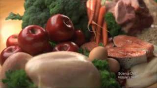 Hill s Pet Nutrition Great Taste