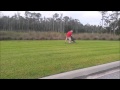 K9 Rhea's greatest hits K9 Rhea's greatest hits