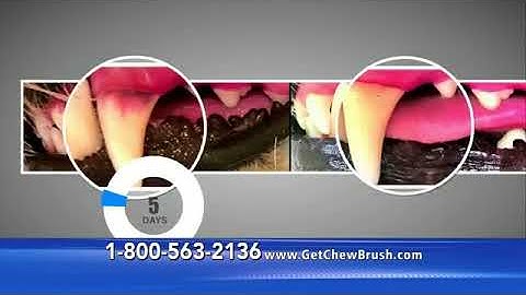 Chew Brush Dog Teeth Cleaner Commercial - As Seen on TV