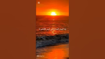ما تيسر من سوره الرحمن بصوت محبتكم❤️🤍