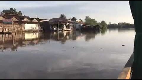 Chợ nổi Cái Bè ở Tiền Giang 5 (Cái Bè floating market in Tiền Giang province 5)