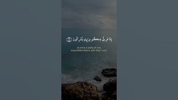 وما بكم من نعمة فمن الله - القارىء محمد كمال هاشم - حالات واتس اب دينية قصيرة قران كريم تلاوة خاشعة