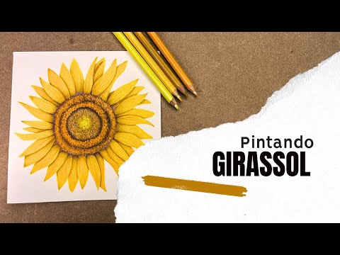 GIRASSOL | como pintar com lápis de cor