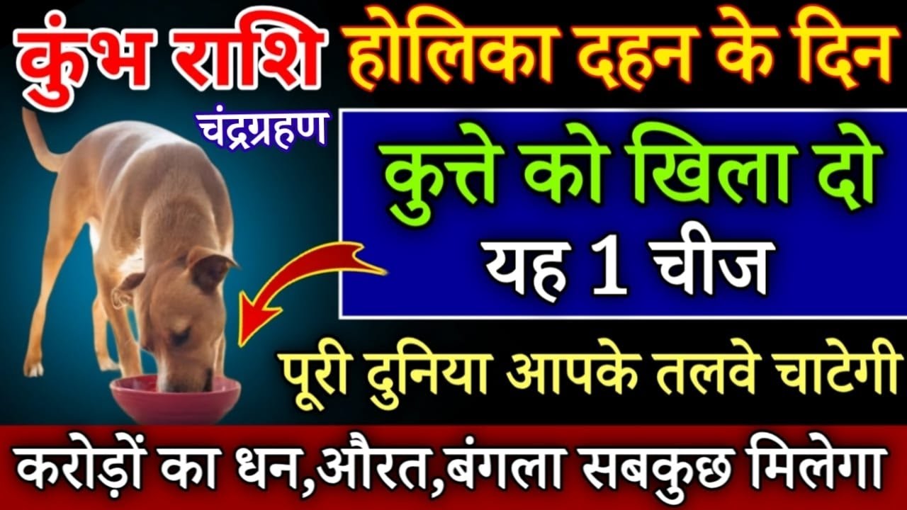 कुंभ राशि होलिका दहन के दिन कुत्ते को खिलादो यह 1 चीज बिना कुछ करे साथ पुश्ते धन खाएगी/KumbhRashi