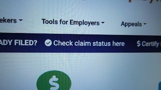 Missing unemployment checks, scarce jobs in COVID economy