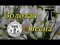 Лучшие голы Торпедо золотой весной 2022 года.