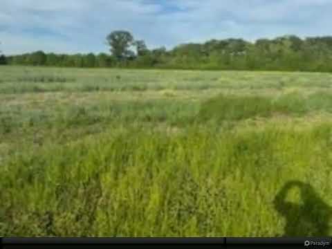 343 North, South Mills, NC home video tour
