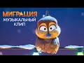 thumbnail img16x9