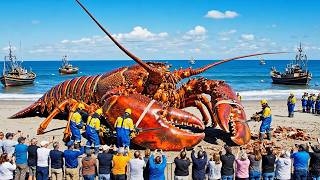 Catching $10 Million Worth of Alaskan Lobster in 72 Hours | Commercial Sea Fishing Documentary