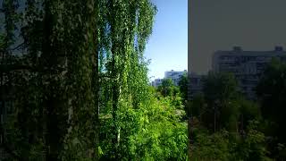 VID 20230606