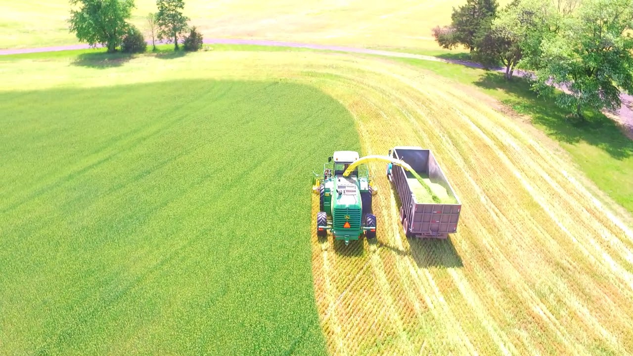 Barley Silage YouTube