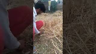 ਪਰਲ ਨ ਸੜ ਆਪਣ ਧਰਤ ਮ ਨ ਬਚਓ Harry Pawar Jassi Warval Students Of Gatti Rajo Ke