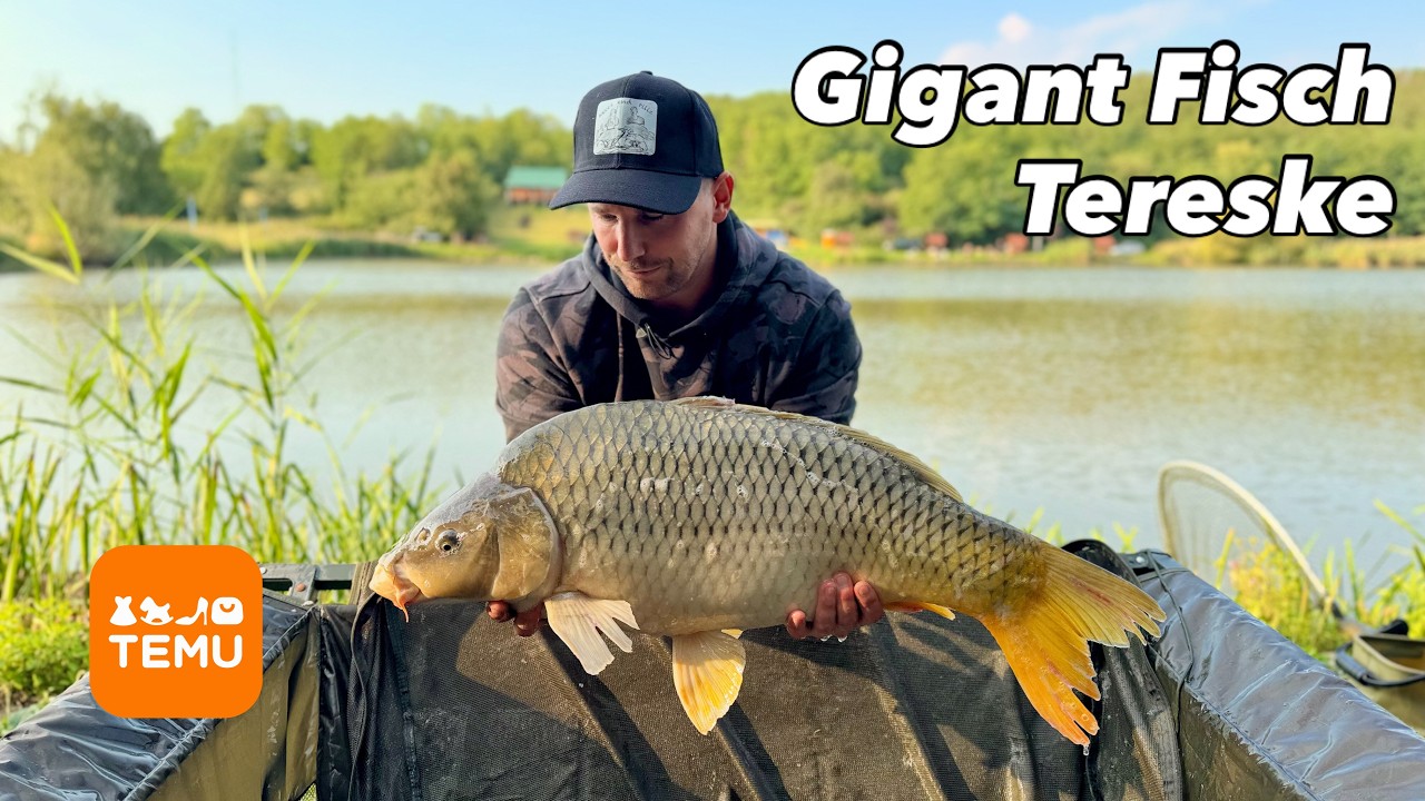 Nagy pontyok és amúrok nyomában Tereskén , Temu -s bojlis orsóval