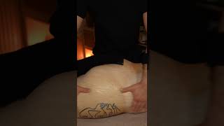 Relaxing Glutes Massage - ASMR Satisfying