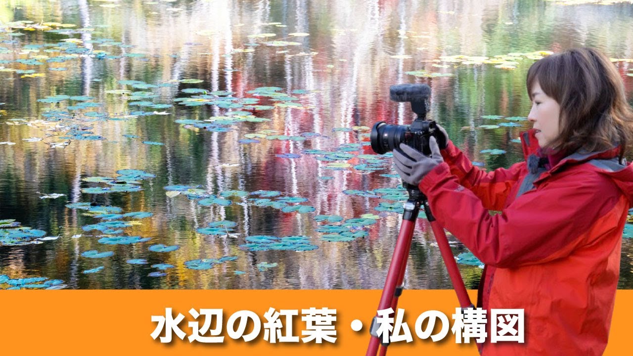 【秋の水辺〜私の構図】望遠ズームレンズが便利です。