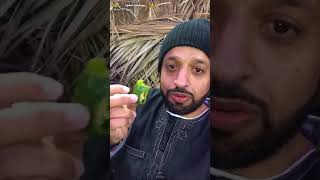 سعودي يتحدى سوداني وصاحبه ياكلوا فلفل حار جدا