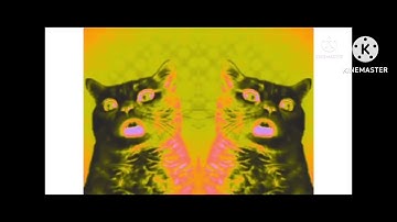 Singing Cats in Robot Flip CoNfUsIoN Reversed