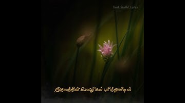 Thumbnail of Kaatrin Mozhi (Male) - Mozhi (2007)