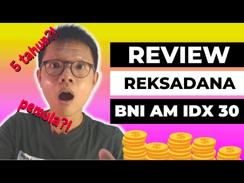Review Reksadana Indeks BNI AM Indeks IDX30 di Bibit