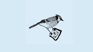 Brigades - Turmoil (Official Audio)
