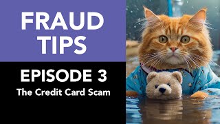 Fraud Tips - Episode 3