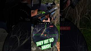 They hit so hard #zanprojectiles #fxairguns #nocpix They hit so hard #zanprojectiles #fxairguns #nocpix