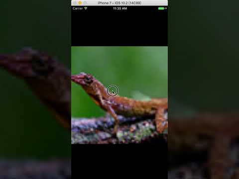 IOS swift代写 flickr API