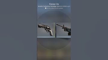 CSGO Anubis Collection Package