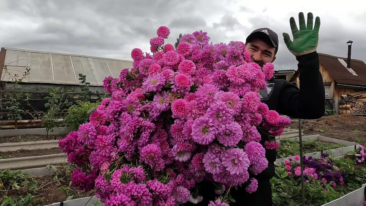 Букет в подарок./Работаем не покладая рук/ - YouTube