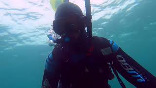 Diving has never been this fun with DiveBooster by AquaBeyond