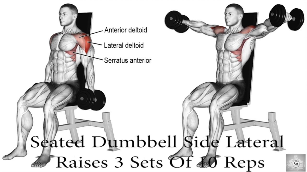 Beginner Workout Routine Shoulders Workout for Beginners Wednesday Shoulder day YouTube