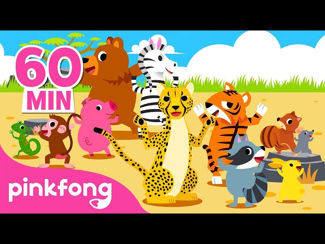 Belajar Klassifikasi dan ciri-ciri Binatang | Kumpulan | Ekorku dimana? | Pinkfong Baby Shark class=