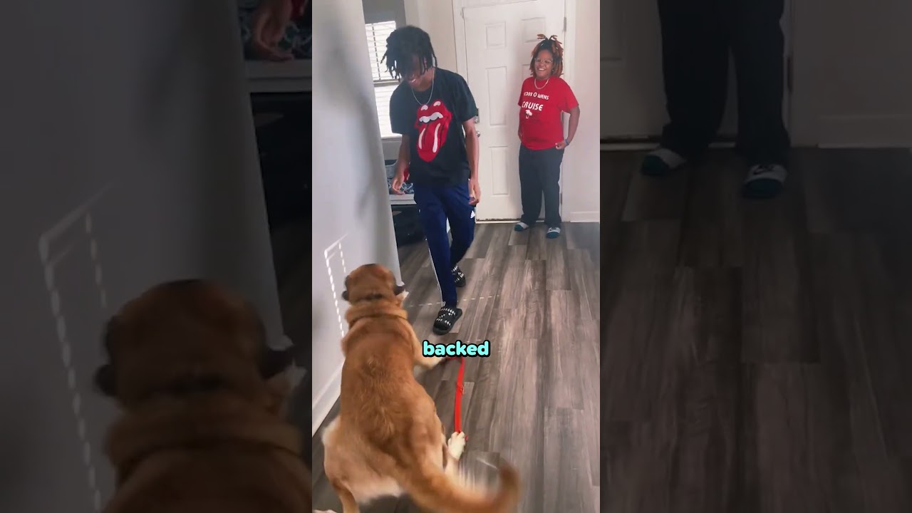 He Thought He Was A Stranger 😂