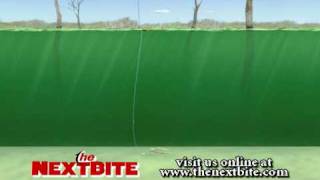 Wave Buster Stand Up Bobbers - The Next Bite - Season 3