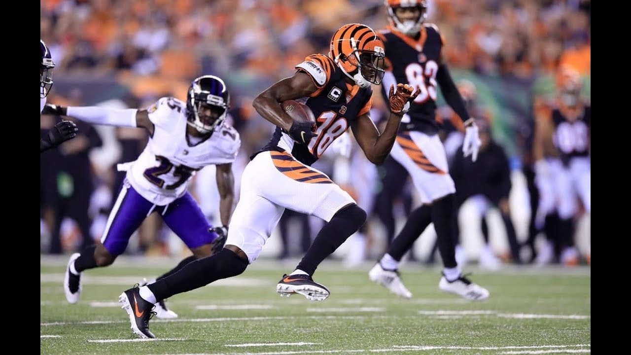 AFC North Looks Wide Open After Bengals Beat Ravens on Thursday Night Football