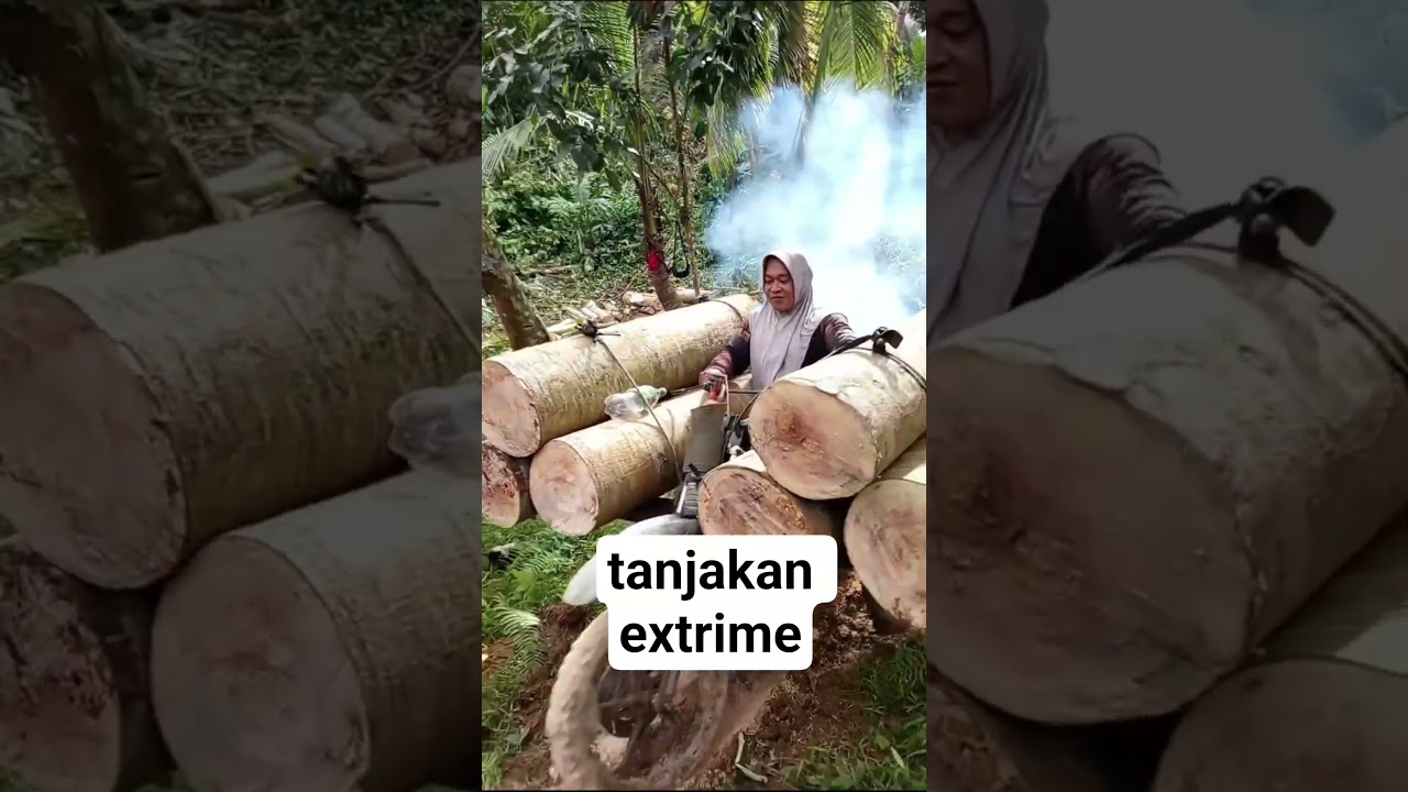 ojek kayu tercepat #automobile #asmrvideo #woodworking