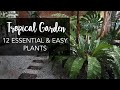 Top 12 musthave  easy plants for a lush tropical garden