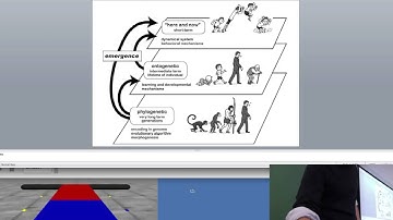 Lecture 25, UVM Evolutionary Robotics Course (Spring 2016). Why evolve bodies?