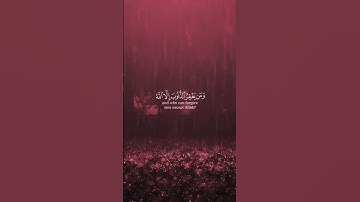 #قران #تلاوة_خاشعة #تلاوة_هادئة #تلاوات #قرآن #قران_كريم